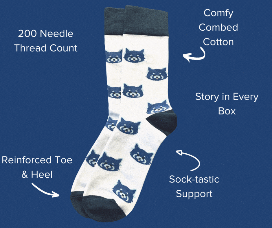 socks from subscription box