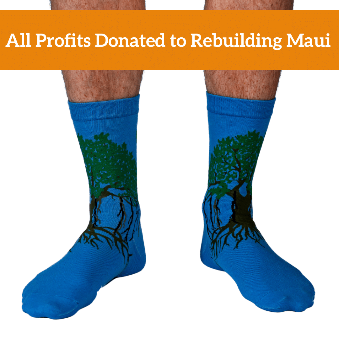 Donate to Rebuilding Maui-2
