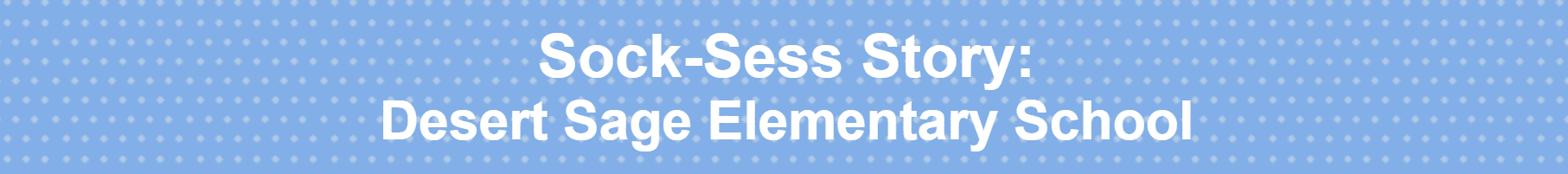 Custom Socks for Desert Sage Elementary