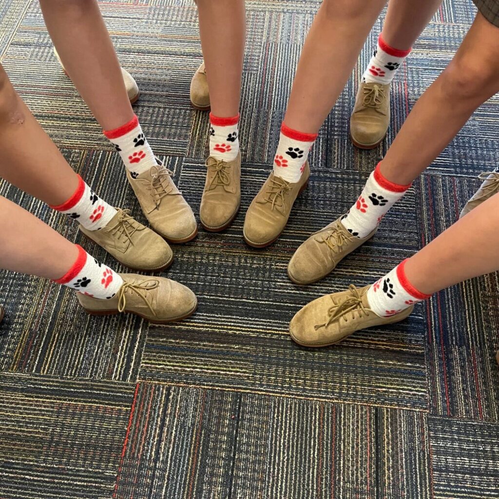 custom socks for corporate and sports teams with puppy prints from spirit sox