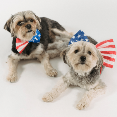 Happy 4th of July