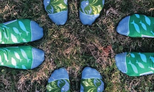 Custom socks created for Fish and Explore employees by Spirit Sox USA